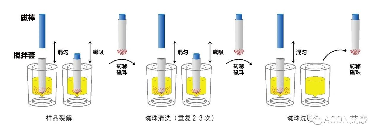 Promotor?核酸提純儀， 讓基因提純更便捷。